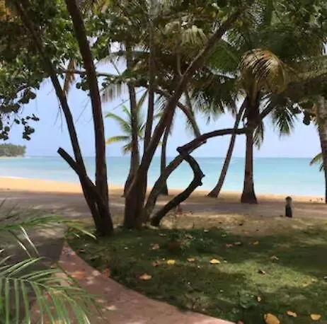 Lovely Beach Apartment In Tranquil Playa Bonita Las Terrenas Dominican Republic