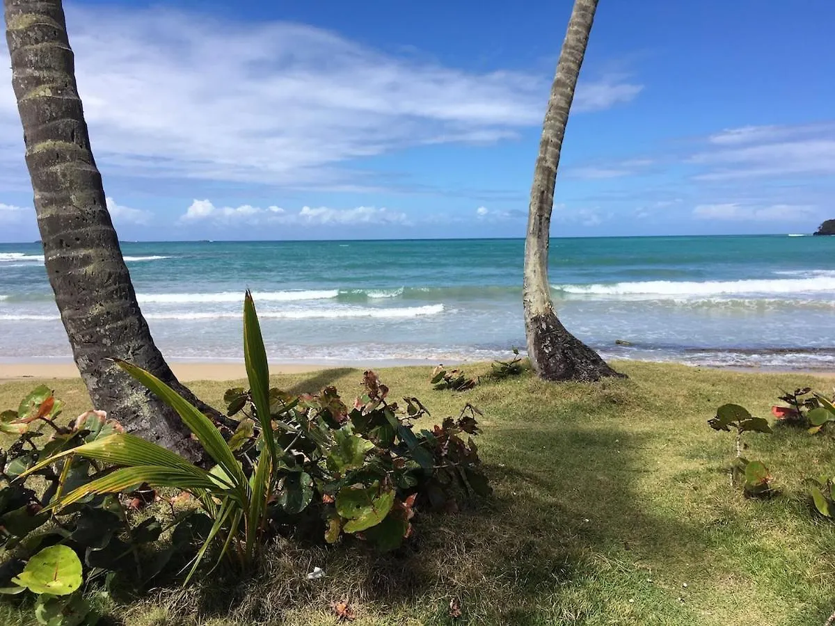 Lovely Beach Apartment In Tranquil Playa Bonita Las Terrenas 0*,  Dominican Republic